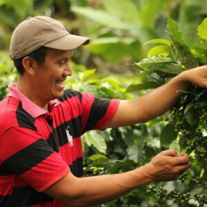 Honduras Aprocomsa (12 Oz)